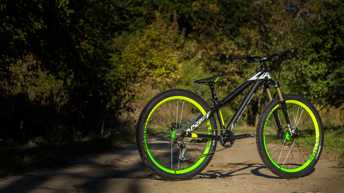 ns bikes liar frame